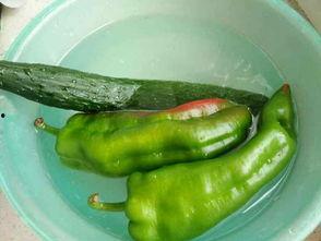 黄蛋瓜怎么吃,解锁美味新体验