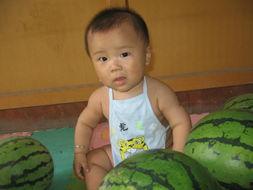 淘哥吃瓜窝,揭秘娱乐圈幕后故事