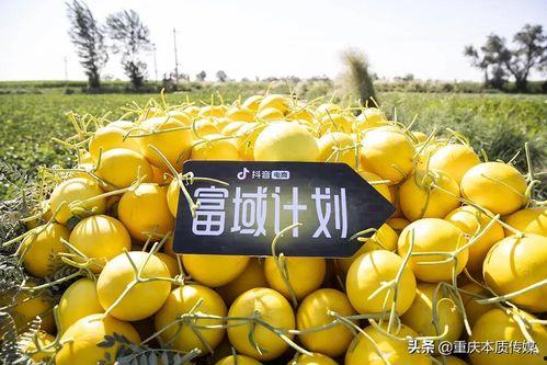 抖音交城吃瓜,交城吃瓜事件，真相背后引人深思