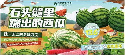 吃瓜比赛图文,吃瓜比赛精彩瞬间大盘点