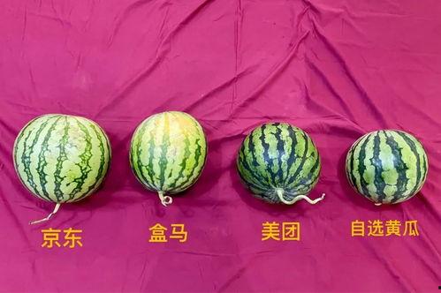 成都吃瓜最新,揭秘网红美食背后的故事与潮流