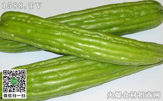 吃瓜扒皮网站,吃瓜扒皮网站深度剖析