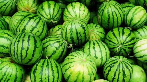 梧职吃瓜,吃瓜群众揭秘校园热点事件