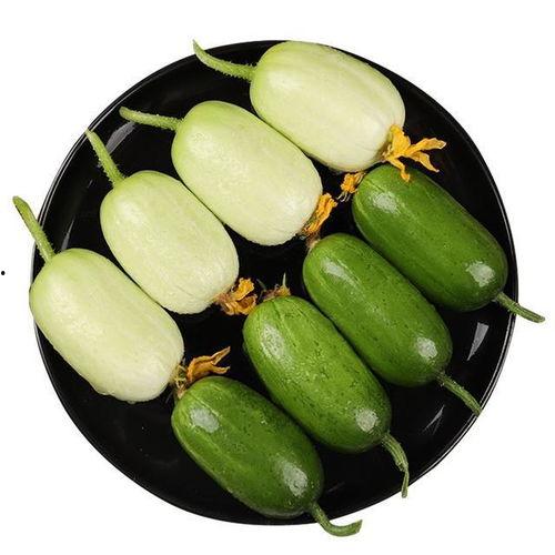 葫芦瓜怎样吃才健康