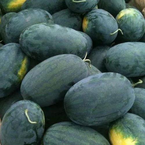 北京plus吃瓜视频,揭秘娱乐圈幕后故事