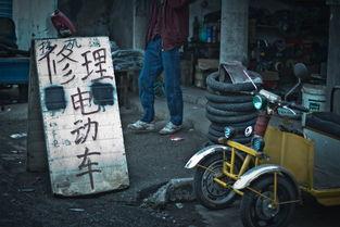 绍兴骑车吃瓜,骑行赏瓜，体验古城慢生活风情